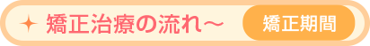 矯正治療の流れ