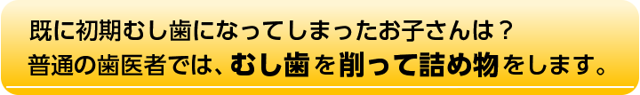普通の歯医者では、むし歯を削って詰め物をします。